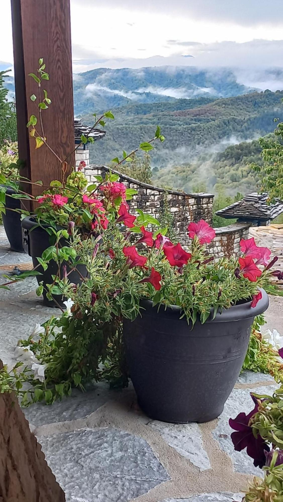 Guesthouse Selini Витса Экстерьер фото