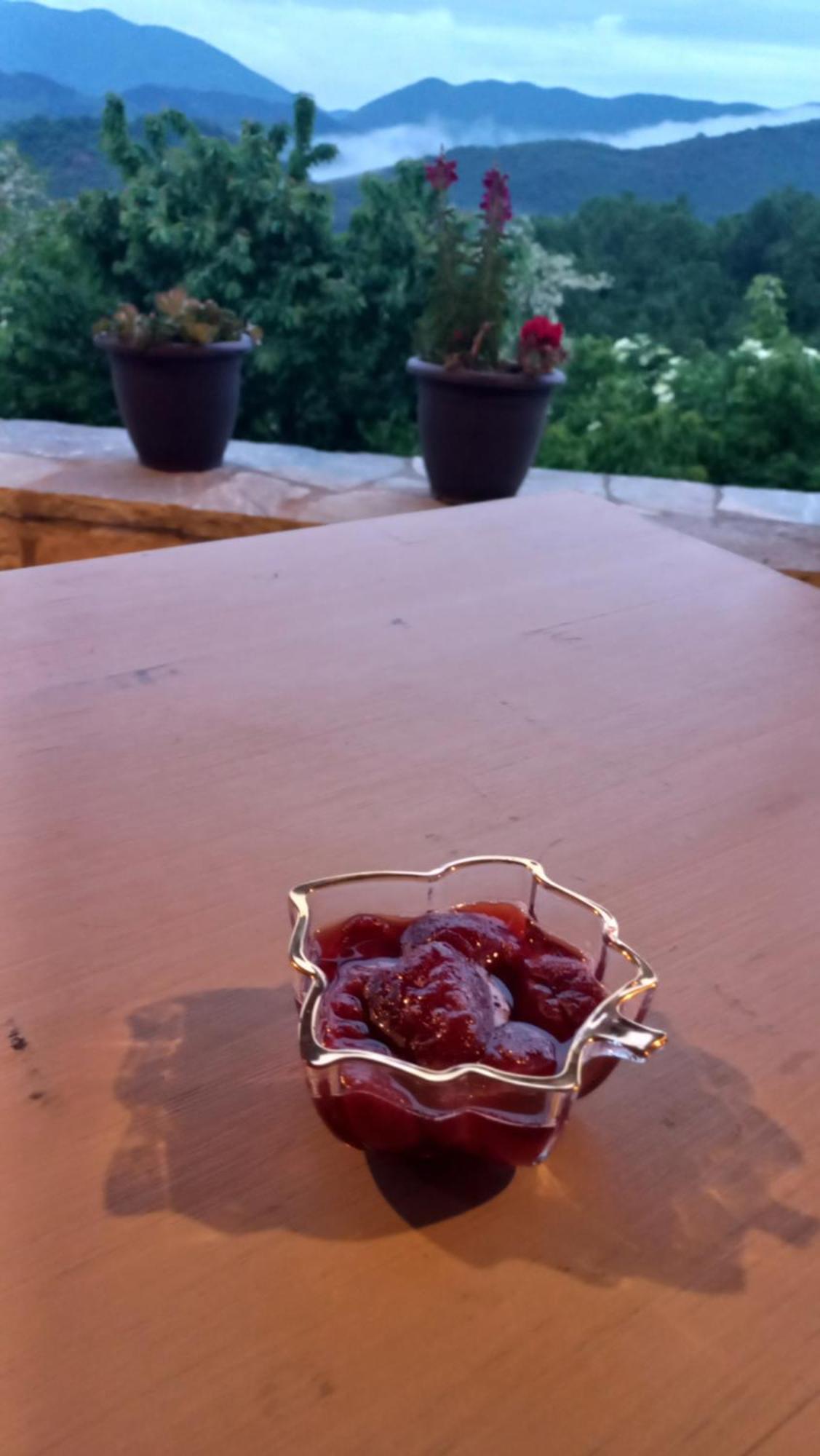 Guesthouse Selini Витса Экстерьер фото