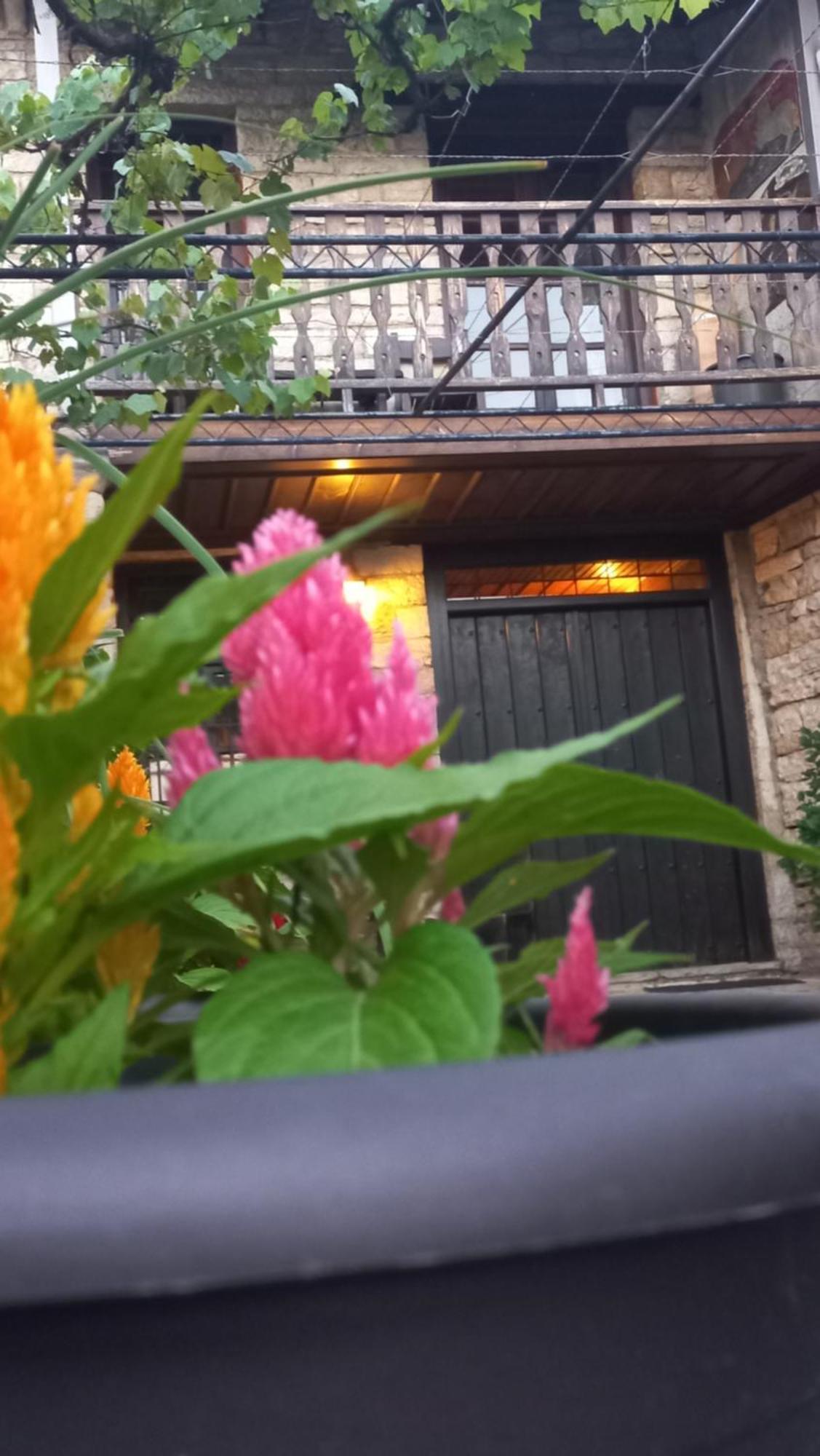 Guesthouse Selini Витса Экстерьер фото